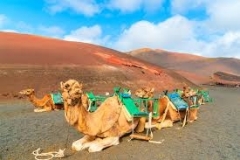 LANZAROTE